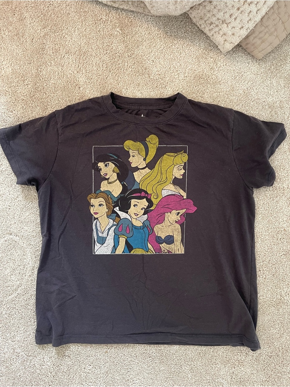 Disney Black Tee with Colorful Princess Ensemble